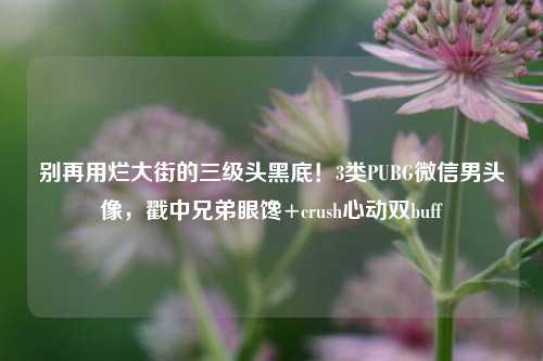 别再用烂大街的三级头黑底!3类PUBG微信男头像,戳中兄弟眼馋+crush心动双buff