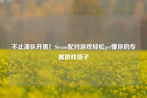 不止凑队开黑!Steam配对游戏轻松get懂你的专属游戏搭子
