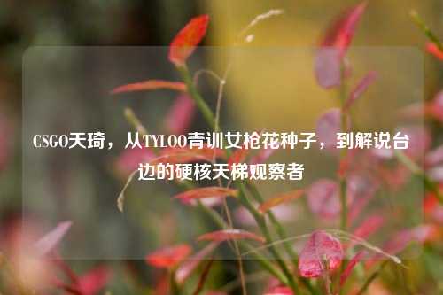 CSGO天琦,从TYLOO青训女枪花种子,到解说台边的硬核天梯观察者