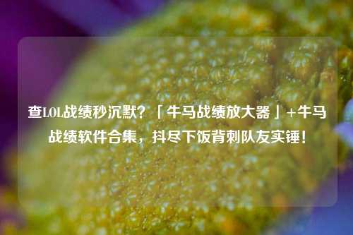 查LOL战绩秒沉默?「牛马战绩放大器」+牛马战绩软件合集,抖尽下饭背刺队友实锤!