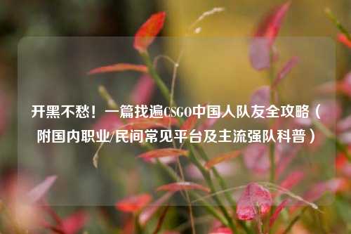 开黑不愁！一篇找遍CSGO中国人队友全攻略（附国内职业/民间常见平台及主流强队科普）