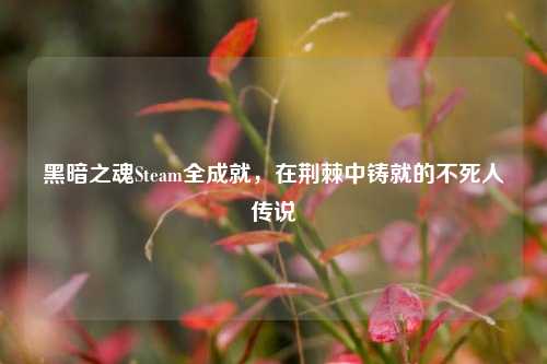 黑暗之魂Steam全成就,在荆棘中铸就的不死人传说