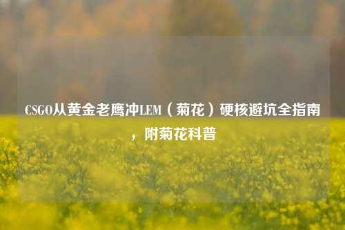 CSGO从黄金老鹰冲LEM(菊花)硬核避坑全指南,附菊花科普