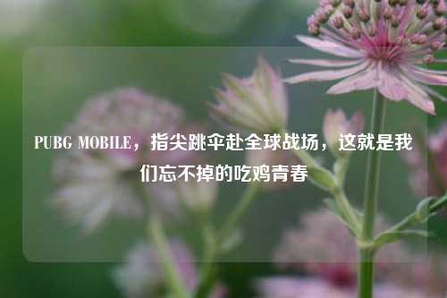 PUBG MOBILE,指尖跳伞赴全球战场,这就是我们忘不掉的吃鸡青春