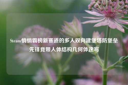 Steam悄悄霸榜新赛道的多人双向建堡塔防堡垒先锋竟带人体结构几何体速写