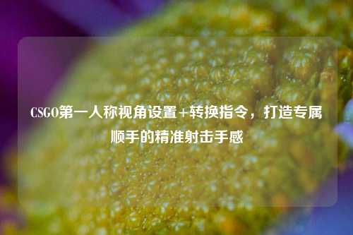 CSGO第一人称视角设置+转换指令,打造专属顺手的精准射击手感