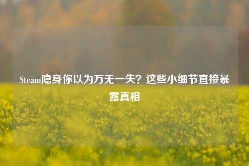Steam隐身你以为万无一失?这些小细节直接暴露真相