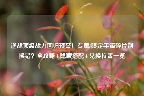 逆战顶级战力回归预警!专属/限定手镯碎片别换错?全攻略+隐藏搭配+兑换位置一览