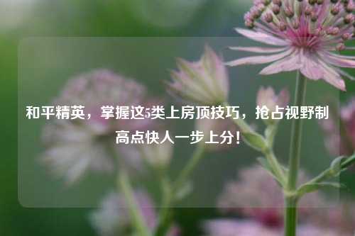 和平精英,掌握这5类上房顶技巧,抢占视野制高点快人一步上分!