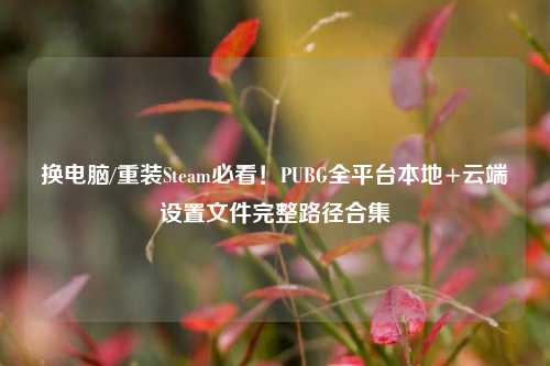 换电脑/重装Steam必看!PUBG全平台本地+云端设置文件完整路径合集