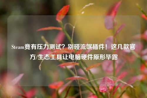 Steam竟有压力测试?别碰流氓插件!这几款官方/生态工具让电脑硬件原形毕露