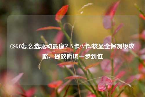 CSGO怎么选驱动最稳?N卡/A卡/核显全保姆级攻略,提效避坑一步到位