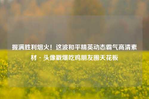 握满胜利烟火!这波和平精英动态霸气高清素材·头像戳爆吃鸡朋友圈天花板