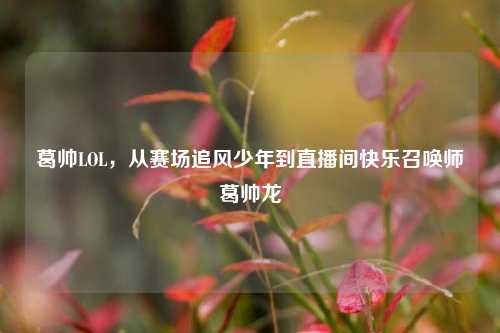 葛帅LOL,从赛场追风少年到直播间快乐召唤师葛帅龙
