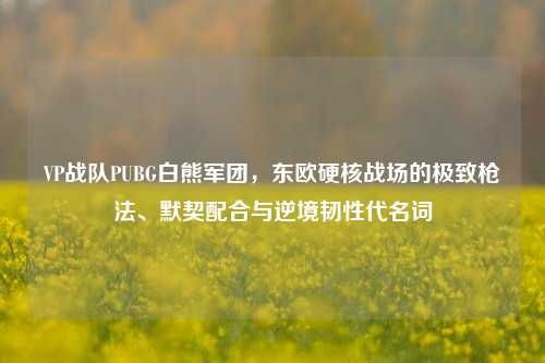 VP战队PUBG白熊军团,东欧硬核战场的极致枪法、默契配合与逆境韧性代名词