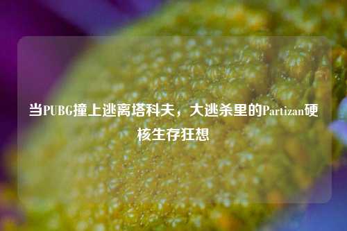 当PUBG撞上逃离塔科夫,大逃杀里的Partizan硬核生存狂想