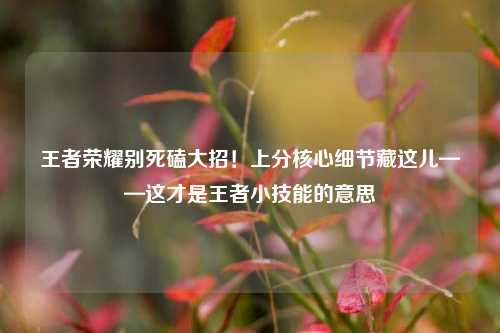 王者荣耀别死磕大招!上分核心细节藏这儿——这才是王者小技能的意思