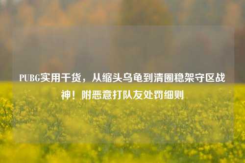 PUBG实用干货,从缩头乌龟到清圈稳架守区战神!附恶意打队友处罚细则