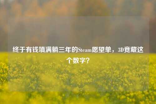 终于有钱填满躺三年的Steam愿望单,3D竟藏这个数字?