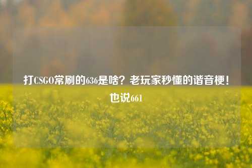打CSGO常刷的636是啥?老玩家秒懂的谐音梗!也说661