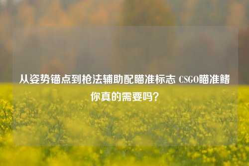 从姿势锚点到枪法辅助配瞄准标志 CSGO瞄准鳍你真的需要吗?