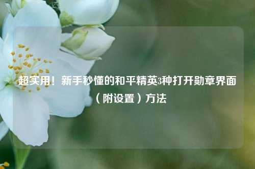 超实用!新手秒懂的和平精英3种打开勋章界面(附设置)方法