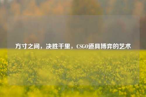 方寸之间,决胜千里,CSGO道具博弈的艺术