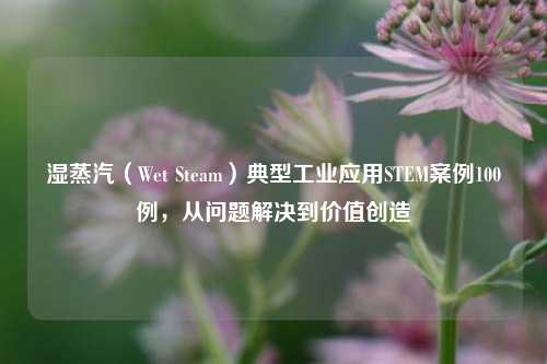 湿蒸汽(Wet Steam)典型工业应用STEM案例100例,从问题解决到价值创造