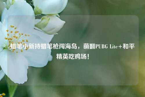 蜡笔小新持蜡笔枪闯海岛,萌翻PUBG Lite+和平精英吃鸡场!