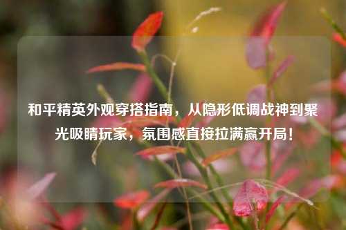和平精英外观穿搭指南,从隐形低调战神到聚光吸睛玩家,氛围感直接拉满赢开局!