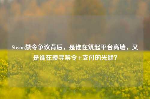 Steam禁令争议背后,是谁在筑起平台高墙,又是谁在摸寻禁令+支付的光缝?