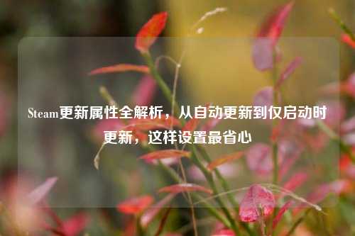 Steam更新属性全解析,从自动更新到仅启动时更新,这样设置最省心
