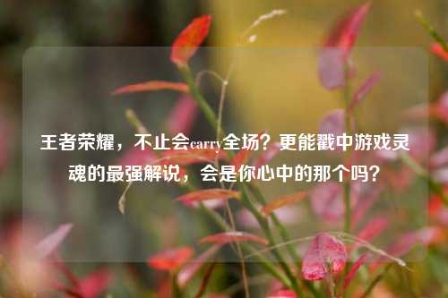 王者荣耀,不止会carry全场?更能戳中游戏灵魂的最强解说,会是你心中的那个吗?