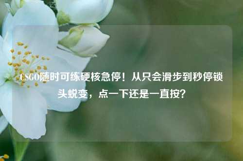 CSGO随时可练硬核急停!从只会滑步到秒停锁头蜕变,点一下还是一直按?