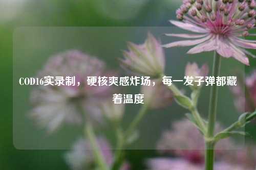 COD16实录制,硬核爽感炸场,每一发子弹都藏着温度