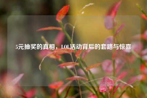 5元抽奖的真相,LOL活动背后的套路与惊喜
