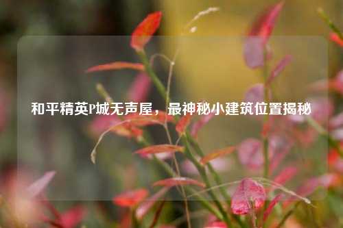 和平精英P城无声屋,最神秘小建筑位置揭秘