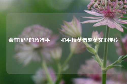 藏在ID里的意难平——和平精英伤感英文ID推荐