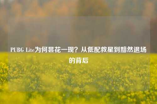 PUBG Lite为何昙花一现?从低配救星到黯然退场的背后