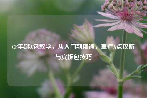 CF手游A包教学,从入门到精通,掌控A点攻防与安拆包技巧
