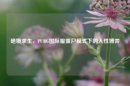 绝境求生,PUBG国际服僵尸模式下的人性博弈