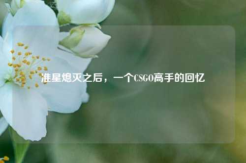 准星熄灭之后,一个CSGO高手的回忆