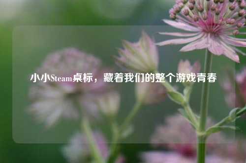 小小Steam桌标,藏着我们的整个游戏青春