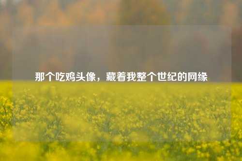 那个吃鸡头像,藏着我整个世纪的网缘