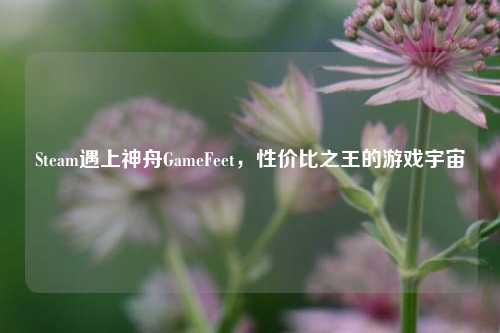 Steam遇上神舟GameFeet,性价比之王的游戏宇宙