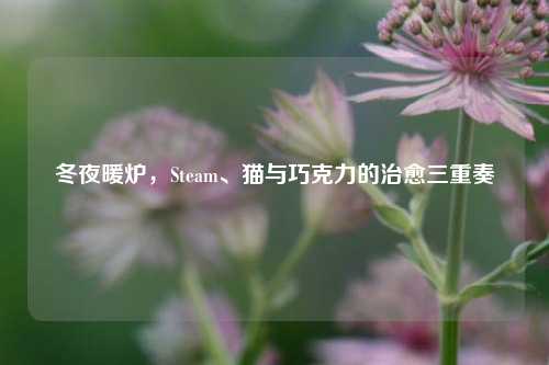冬夜暖炉,Steam、猫与巧克力的治愈三重奏