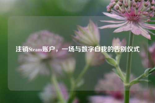 注销Steam账户,一场与数字自我的告别仪式