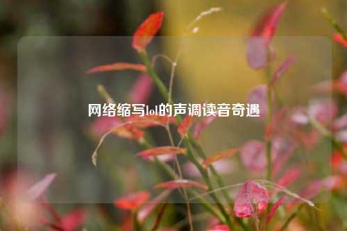 网络缩写lol的声调读音奇遇