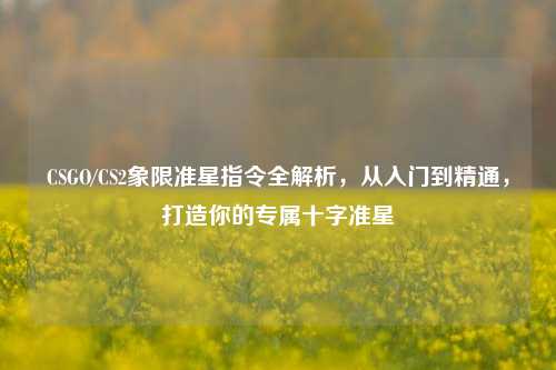 CSGO/CS2象限准星指令全解析,从入门到精通,打造你的专属十字准星