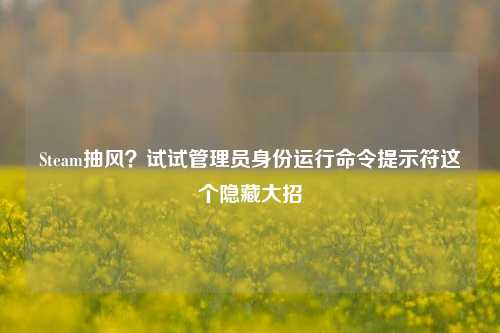 Steam抽风?试试管理员身份运行命令提示符这个隐藏大招